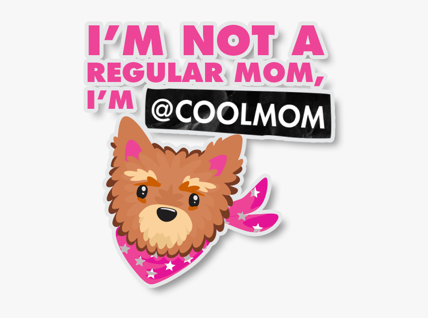 Mean Girls Stickers Messages Sticker-5 - Yorkshire Terrier, HD Png Download, Free Download