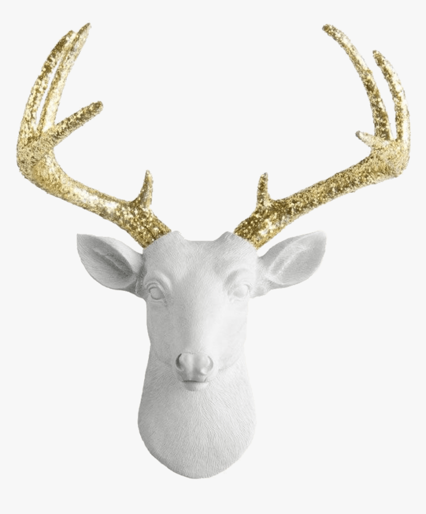 Elk - Deer, HD Png Download, Free Download