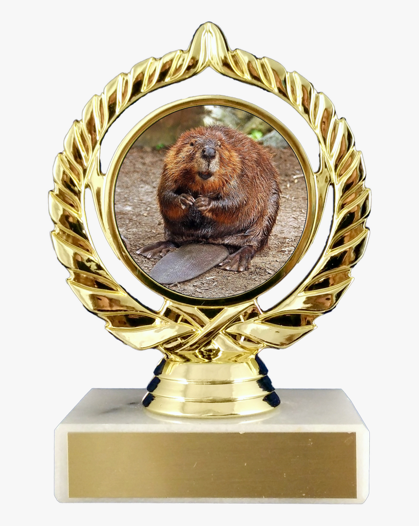 Beaver Logo Trophy On Flat White Marble Trophy Schoppy"s - Best Beaver, HD Png Download, Free Download