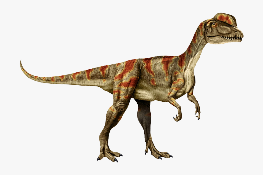 Genus Dilophosaurus, HD Png Download, Free Download