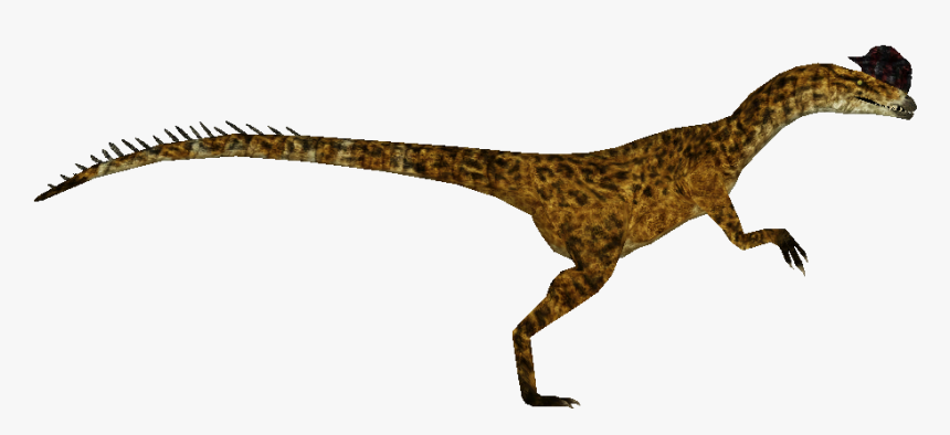 Dilophosaurus , Png Download - Velociraptor, Transparent Png, Free Download