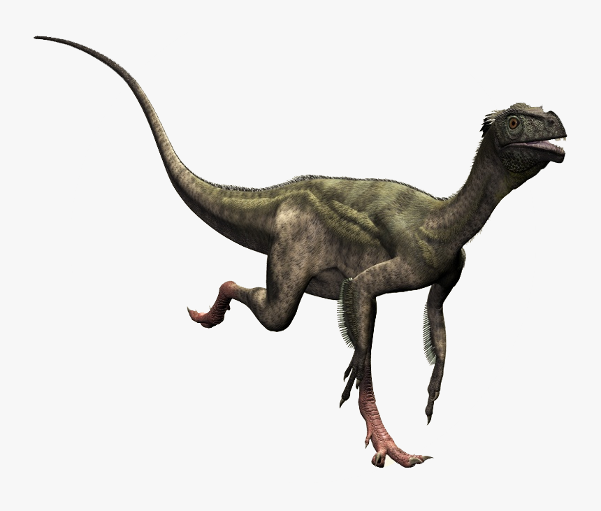 Compsognathus Transparent Background, HD Png Download, Free Download