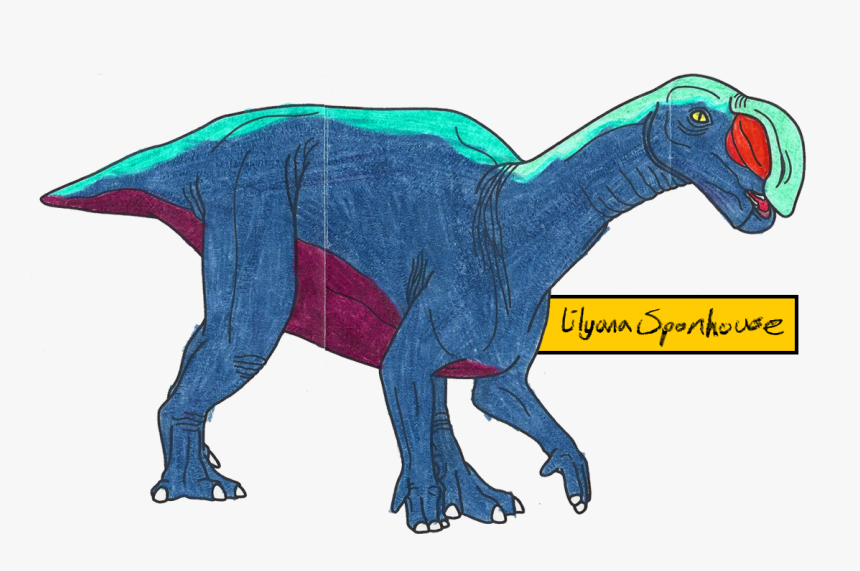 2016 Coloring Contest Results - Lesothosaurus, HD Png Download, Free Download