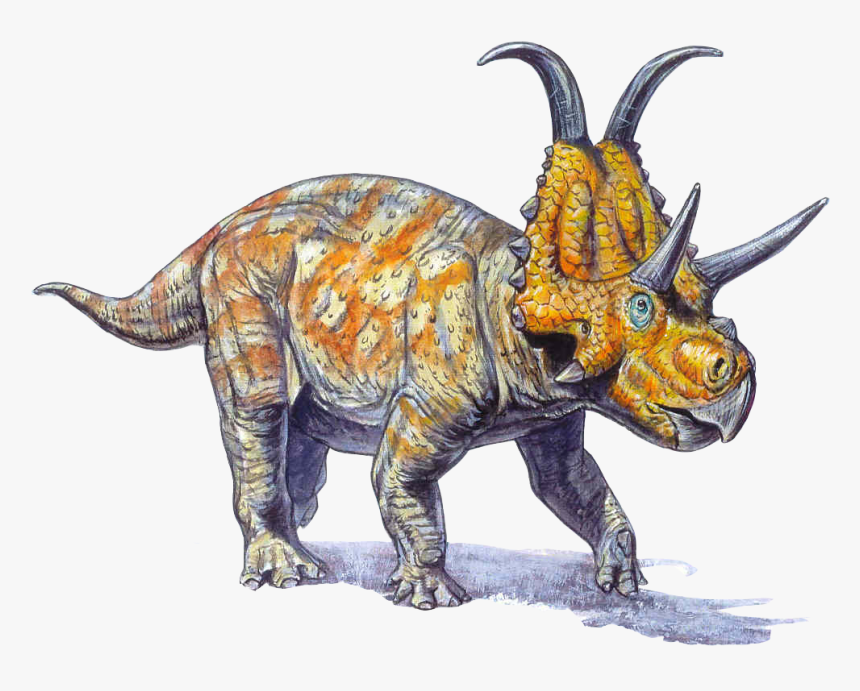 Diabloceratops Eatoni, HD Png Download, Free Download