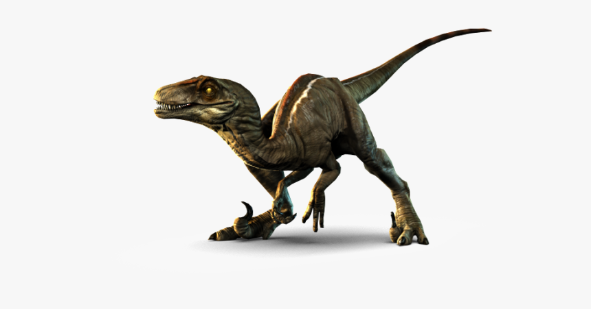 Real Dinosaurs Transparent Background, HD Png Download, Free Download