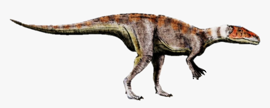 Dubreuillosaurus, HD Png Download, Free Download