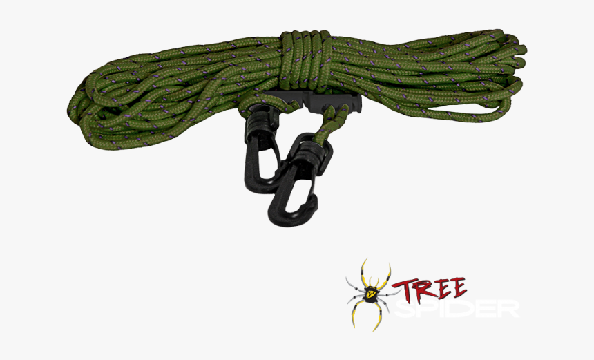 Tree Spider Light Line - Insect, HD Png Download, Free Download