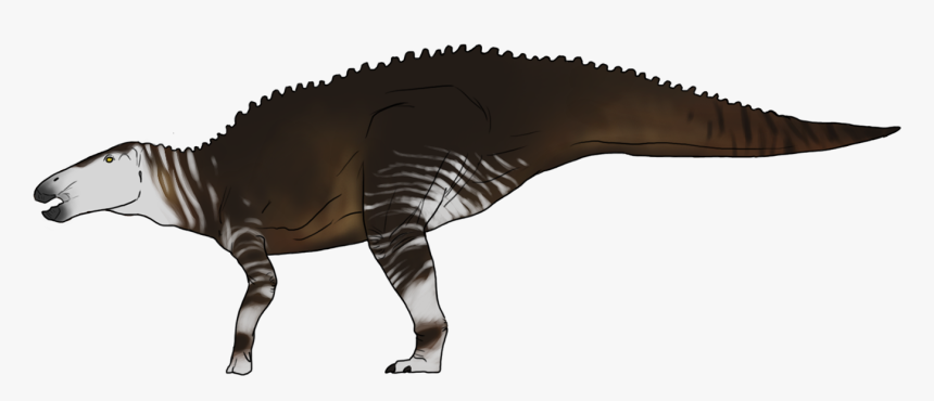 Lesothosaurus, HD Png Download, Free Download