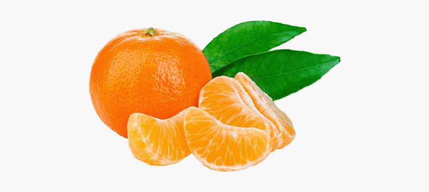 Tangerine - Tangerine Png, Transparent Png, Free Download