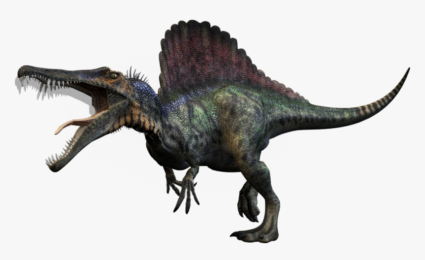 Dino-large - Transparent Background Dinosaur Png, Png Download, Free Download