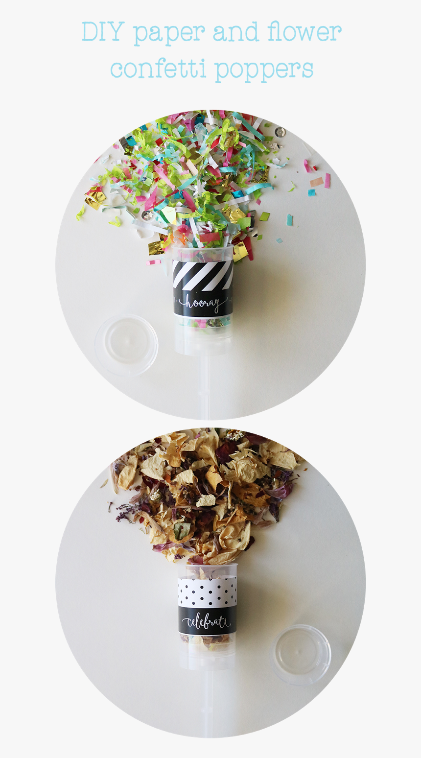 Diy Paper And Flower Confetti Poppers - Chocolate, HD Png Download, Free Download