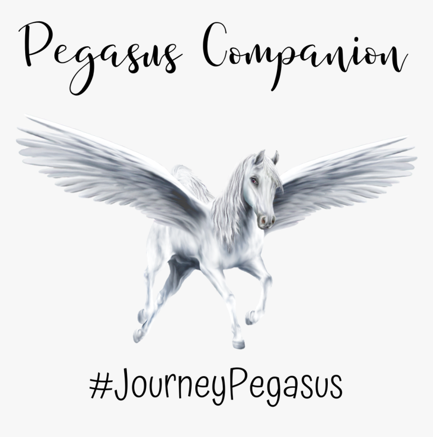 Flying Pegasus Png, Transparent Png, Free Download