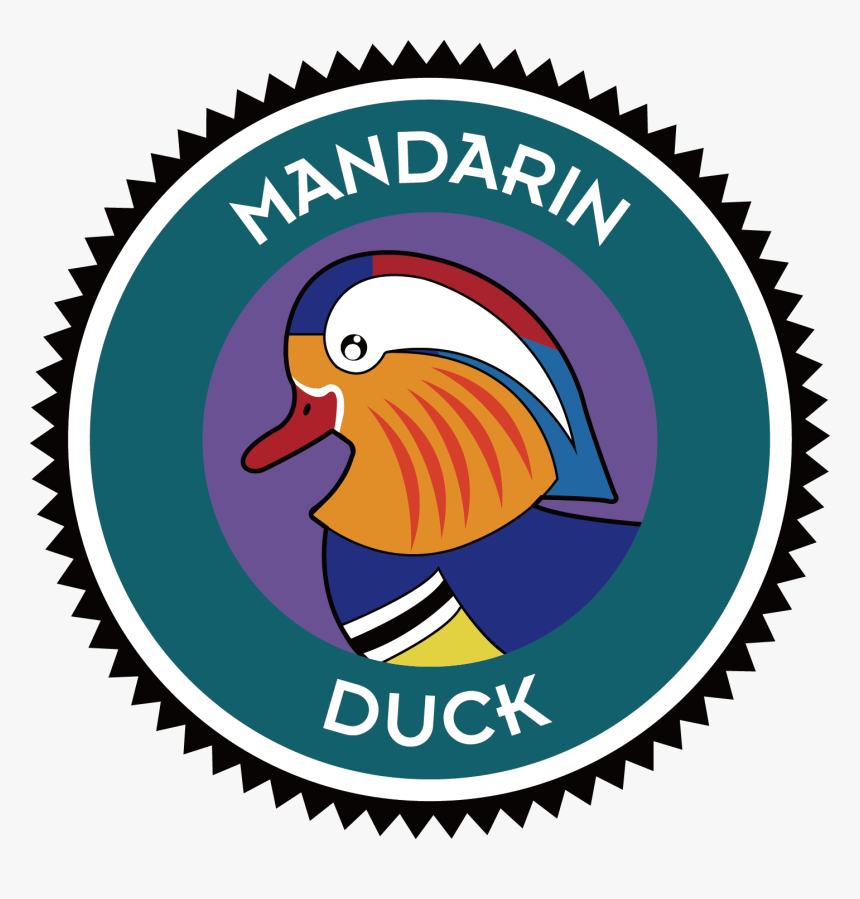 Mandarin Duck Clipart Duck Hunting - Mandarin Duck Clip Art, HD Png Download, Free Download