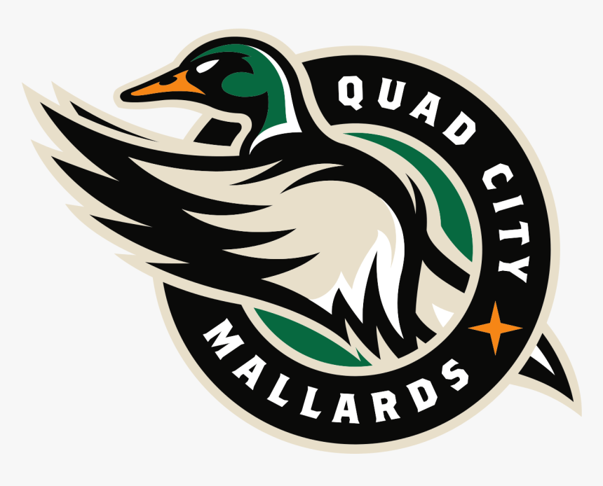 Quad City Mallards Logo, HD Png Download, Free Download