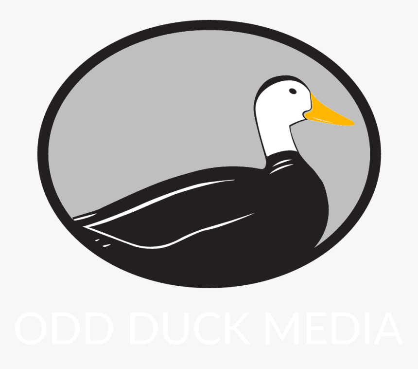 About Us Odd Media - Duck, HD Png Download, Free Download