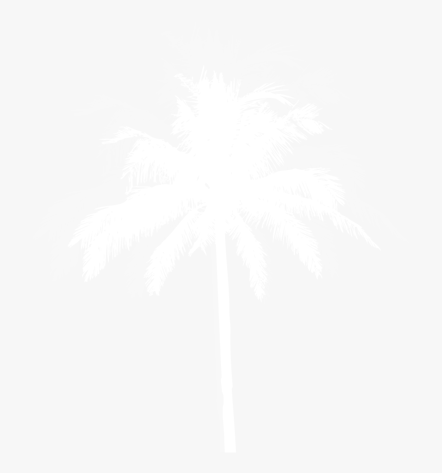 Attalea Speciosa, HD Png Download, Free Download