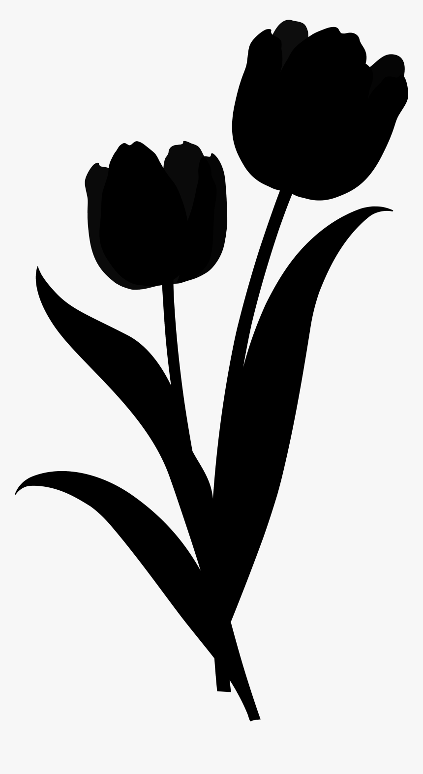 Tulip Silhouette - Transparent Tulip Silhouette, HD Png Download, Free Download