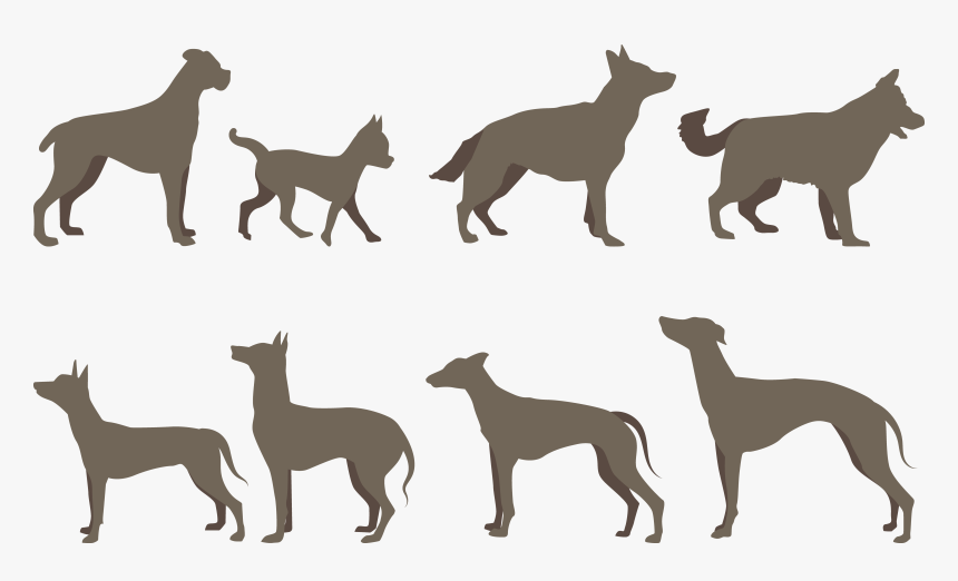 Dog Breed Silhouette - Dog, HD Png Download, Free Download