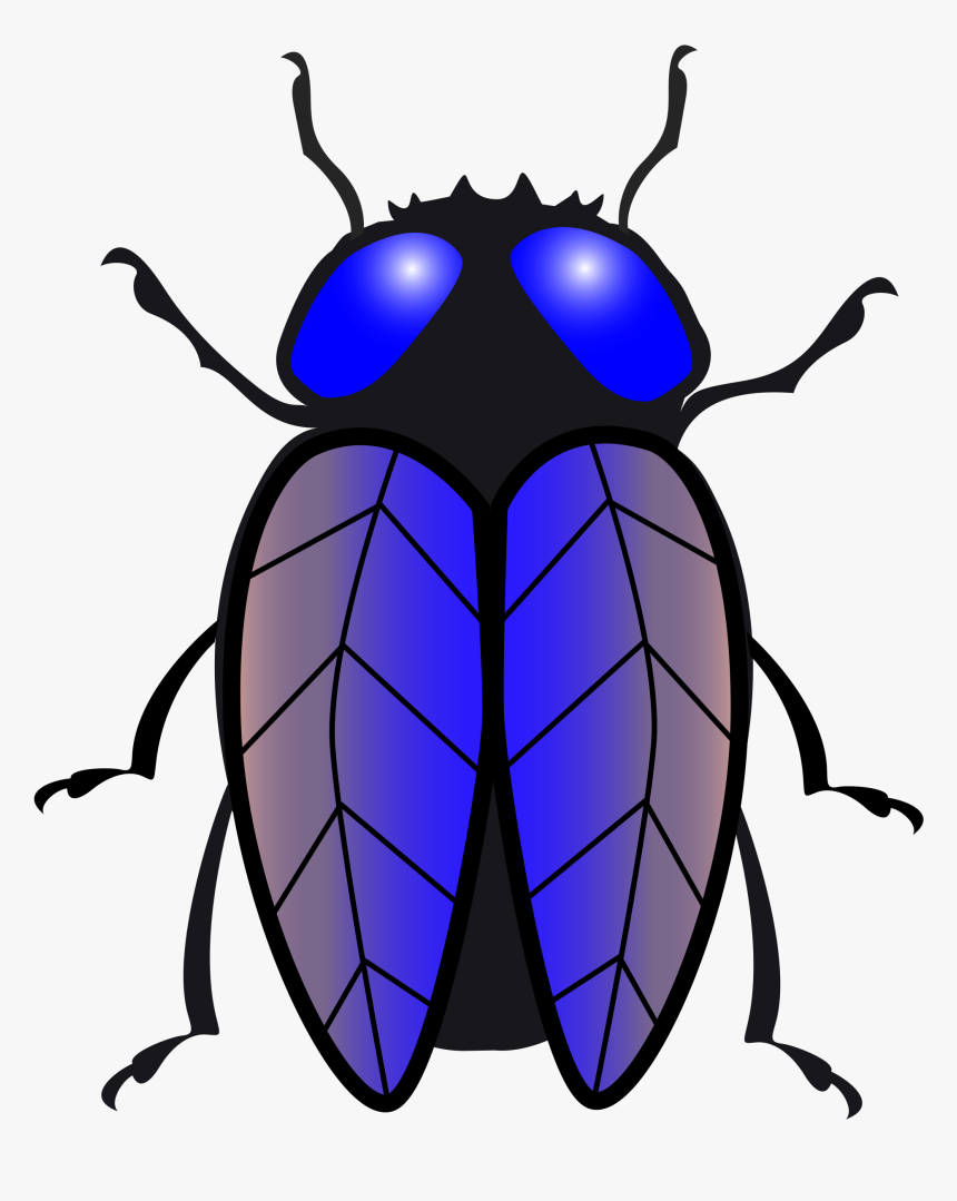 Flies Clipart Beetle - Transparent Bug Clipart, HD Png Download, Free Download