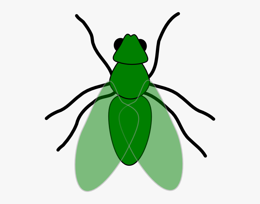 Fly Animal Clip Art, HD Png Download, Free Download