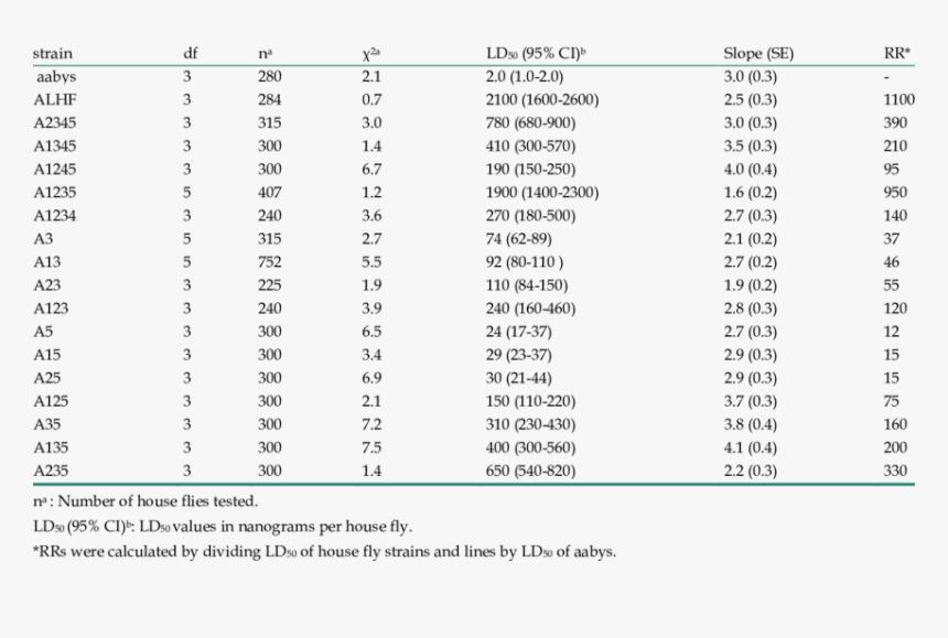 3mm Ss Sheet Weight, HD Png Download, Free Download