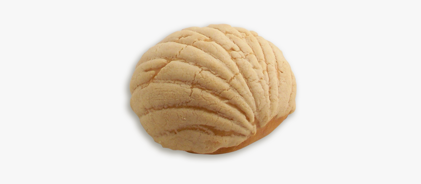 Vanilla Concha - Cookie, HD Png Download, Free Download