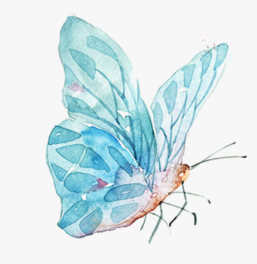 Transparent Watercolor Butterfly Png - Butterfly Watercolor Drawing Png, Png Download, Free Download