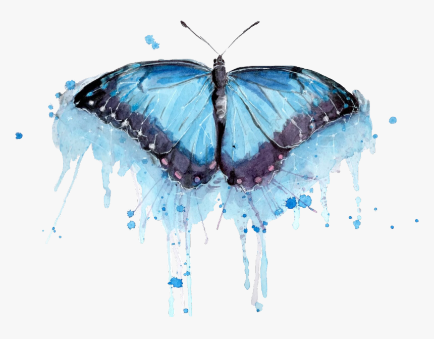 Transparent Watercolor Butterfly Png - Butterfly Watercolor Paint Png, Png Download, Free Download