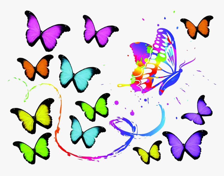 Butterfly,cynthia Subgenus,symmetry - Deckblätter Schule Deckblatt Kostenlos Ausdrucken, HD Png Download, Free Download