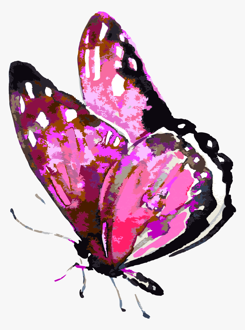 Beyond Fear To Freedom - Blue Butterfly Watercolor, HD Png Download, Free Download