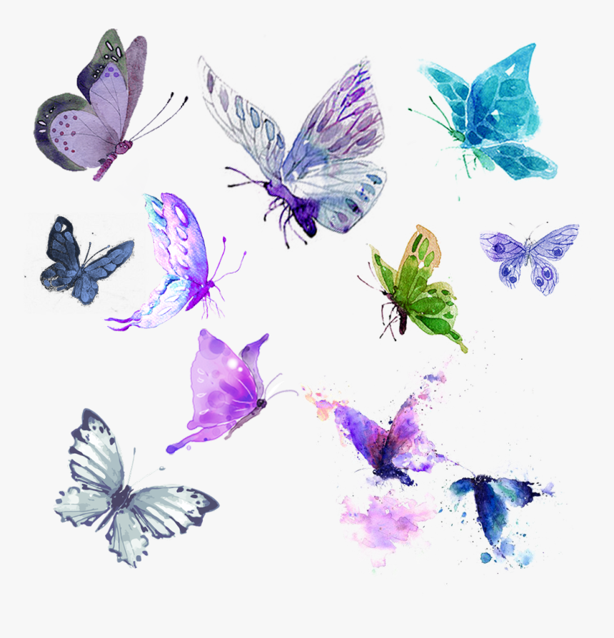 #butterflies #watercolor #teal #purple #green #png - Design Butterflies, Transparent Png, Free Download
