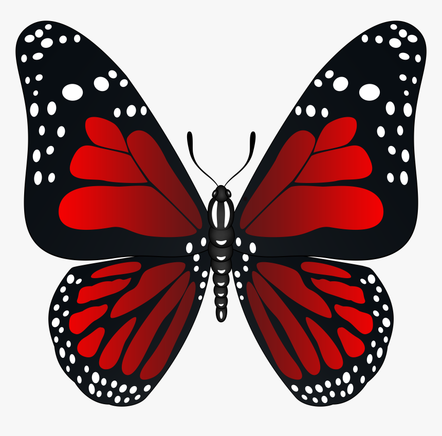 Watercolor Butterfly Png, Transparent Png, Free Download