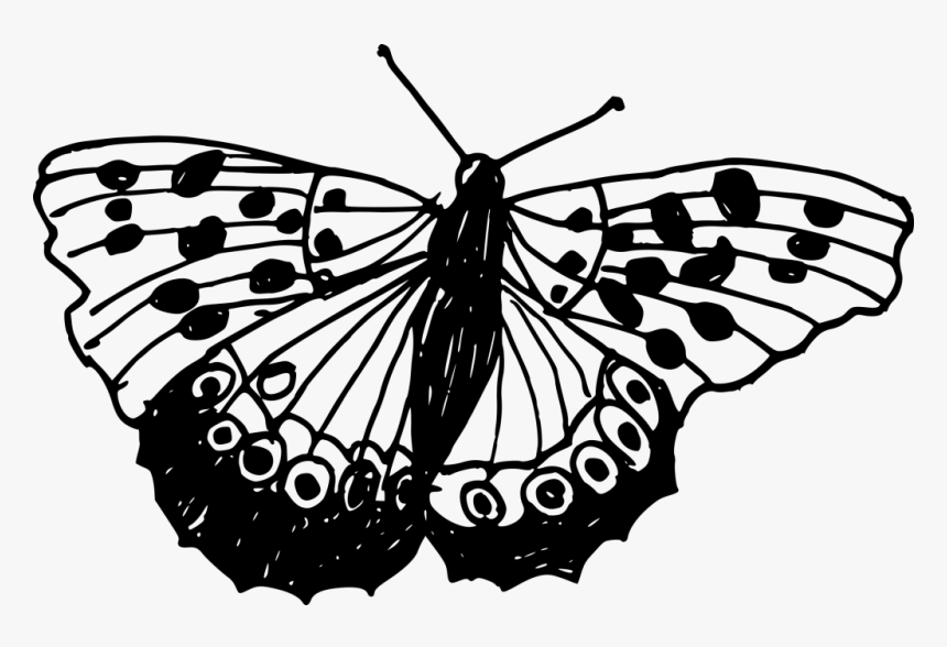 Transparent Background Butterfly Drawings Png, Png Download, Free Download