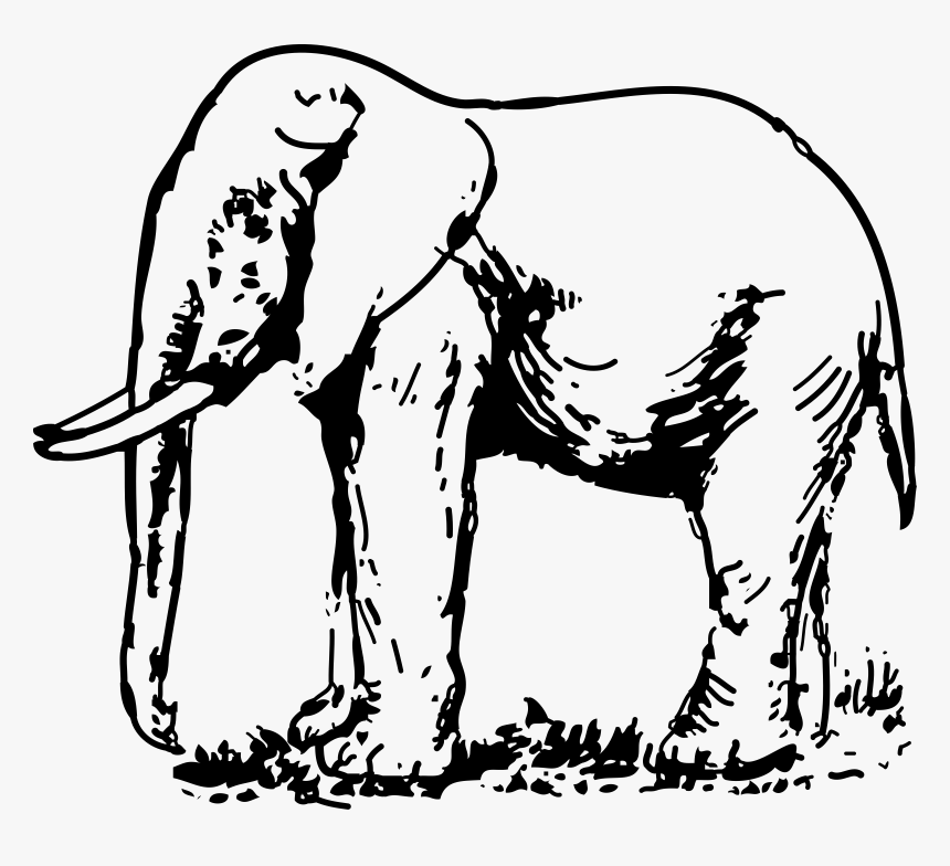 Transparent White Elephant Png - Elephant Image Black And White, Png Download, Free Download