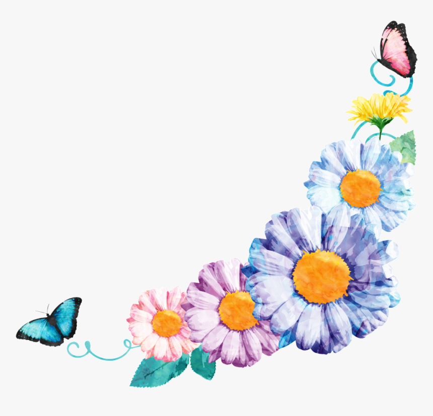 Multicolor Chrysanthemum Butterfly Flower Border Decoration - Chamomile, HD Png Download, Free Download
