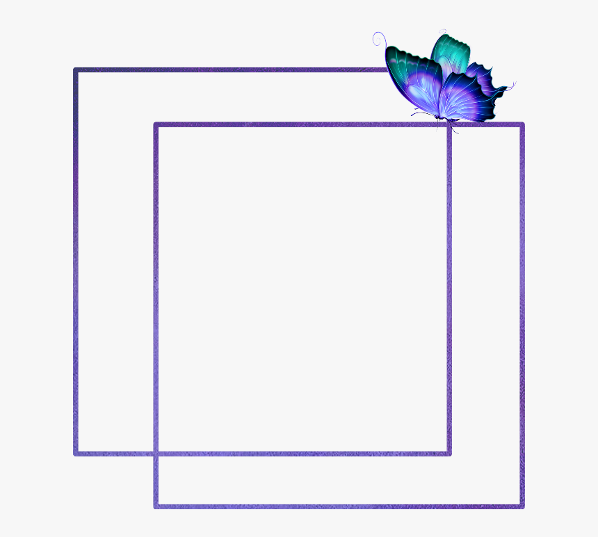#mq #purple #butterfly #frames #border #borders #frame - Butterfly, HD Png Download, Free Download