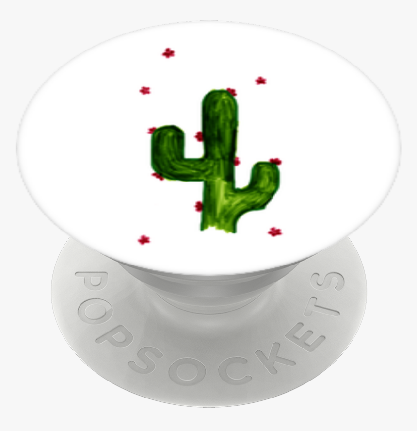 Transparent Saguaro Cactus Png - San Pedro Cactus, Png Download, Free Download