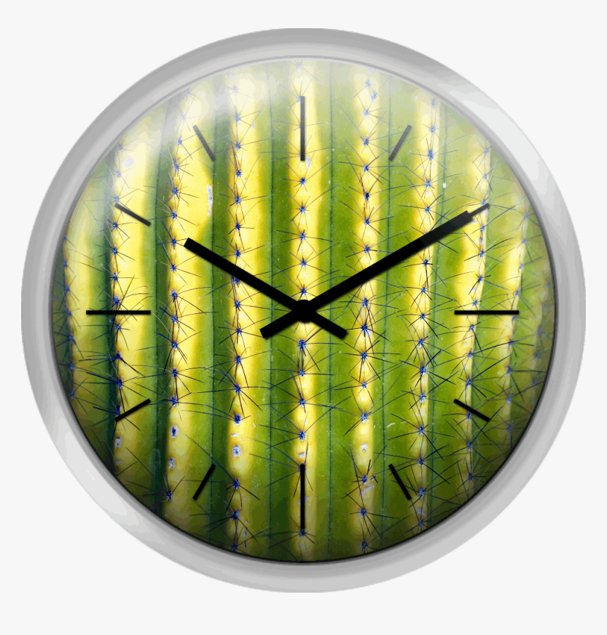 Green Saguaro Cactus - Circle, HD Png Download, Free Download