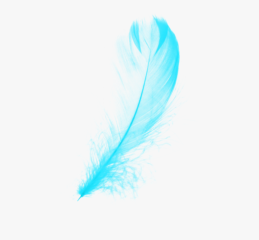 #mq #blue #feather #feathers - Illustration, HD Png Download, Free Download