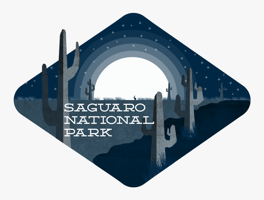 Saguaro National Park Logo Badge Vector Drawing Illustration - Graphics Of Saguaro National Park, HD Png Download, Free Download