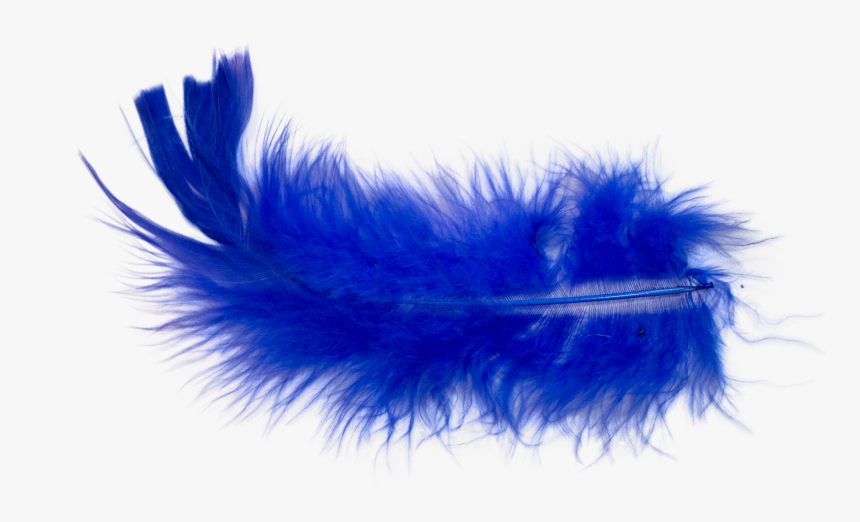 I Did A Little Research On How To Photoshop Out A Color - Feather, HD Png Download, Free Download
