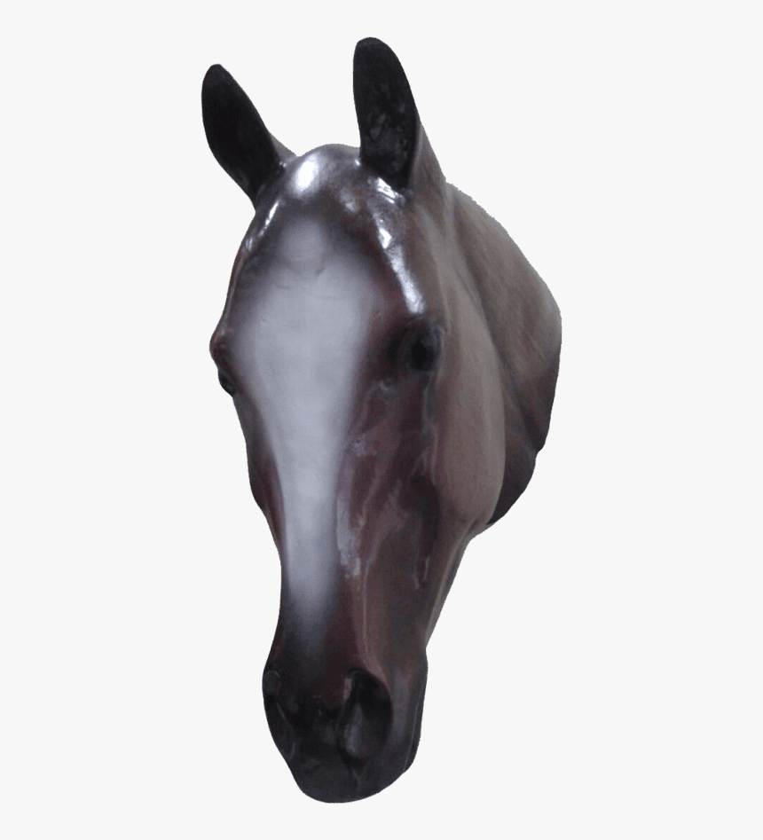 Stallion, HD Png Download, Free Download