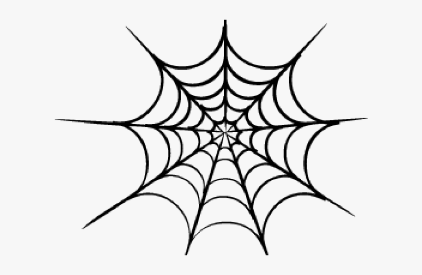 Spider Web Vector Png, Transparent Png, Free Download