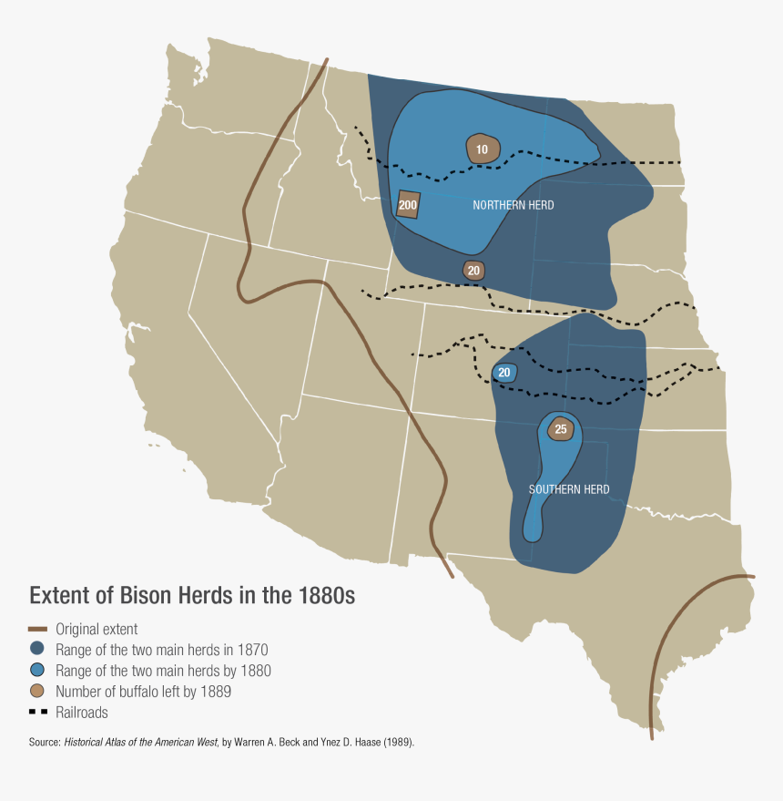 09 17 Bison Herds - Civil Engineer Employment, HD Png Download, Free Download