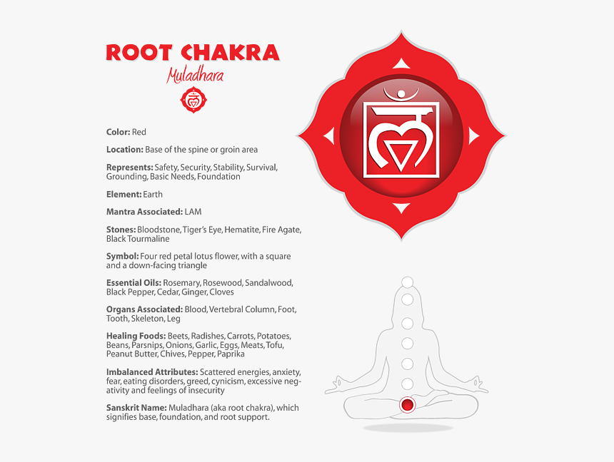 Root Chakra Muladhara, HD Png Download, Free Download