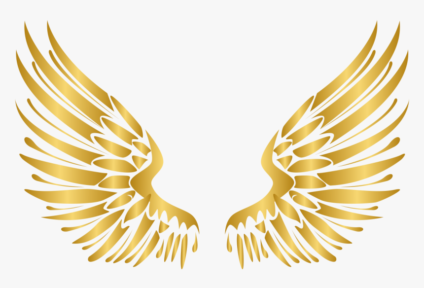 Angel Wings Vector Png, Transparent Png, Free Download