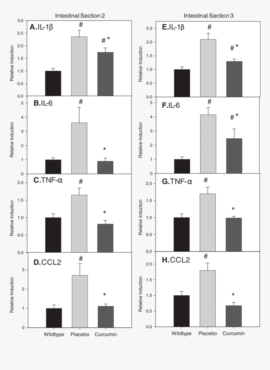 Monochrome, HD Png Download, Free Download