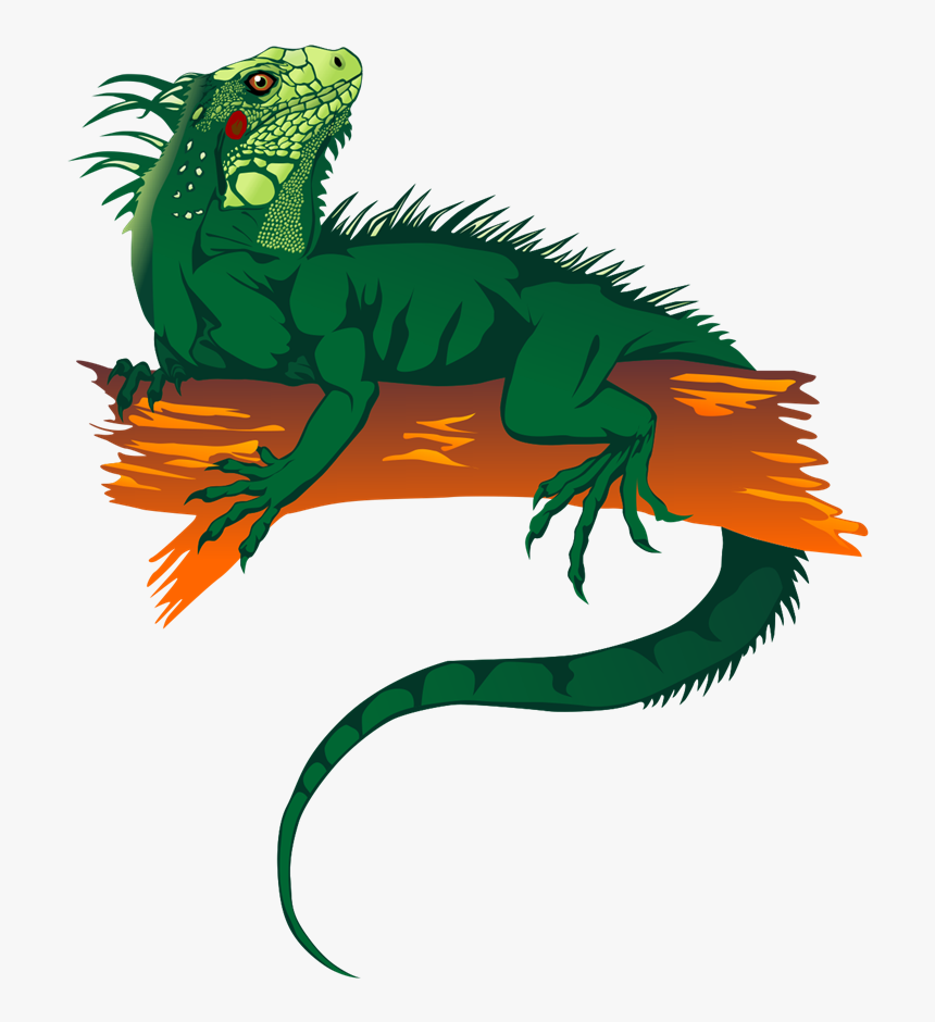 Lizard Free To Use Clip Art - Green Iguana Clipart, HD Png Download, Free Download