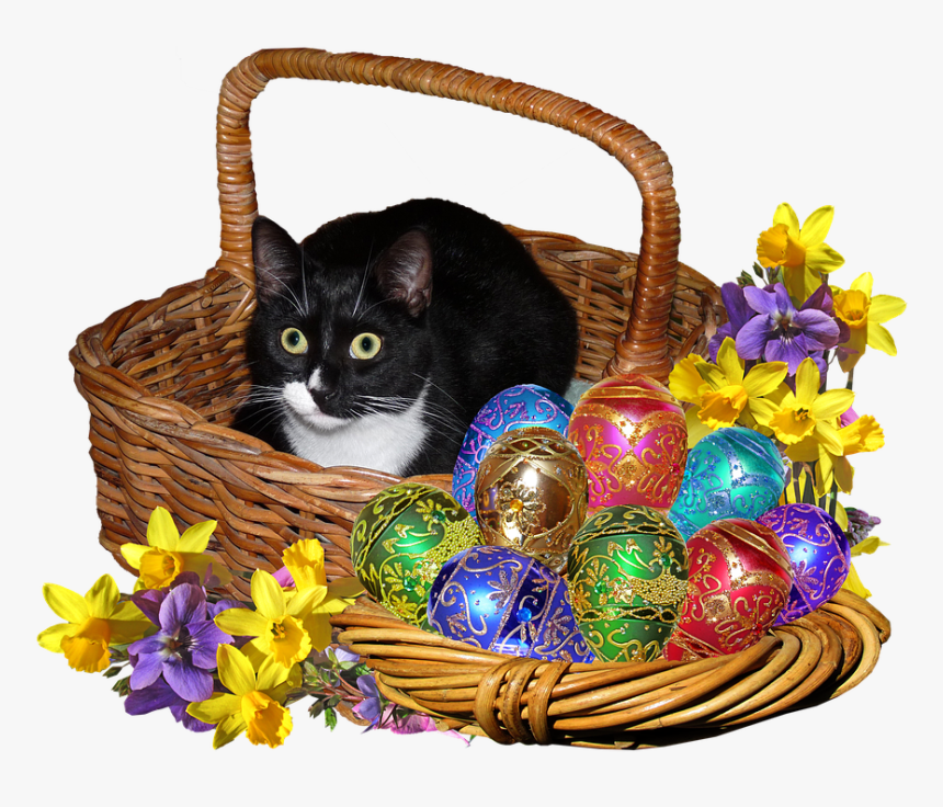 Easter Eggs Cat In Basket - Easter Egg Bunny Rabbit, HD Png Download, Free Download