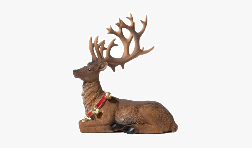 Elk, HD Png Download, Free Download